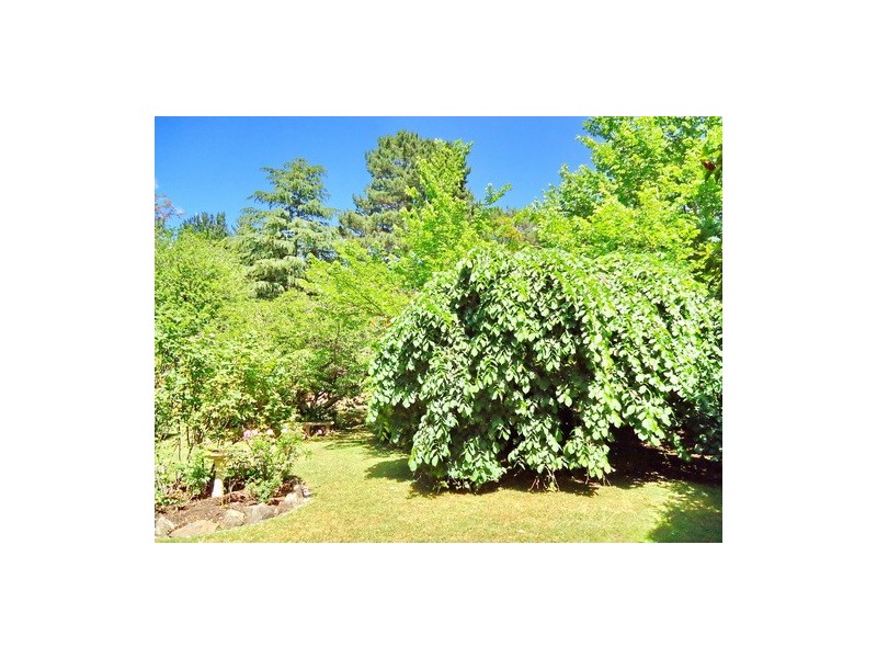 Bowral NSW 2576