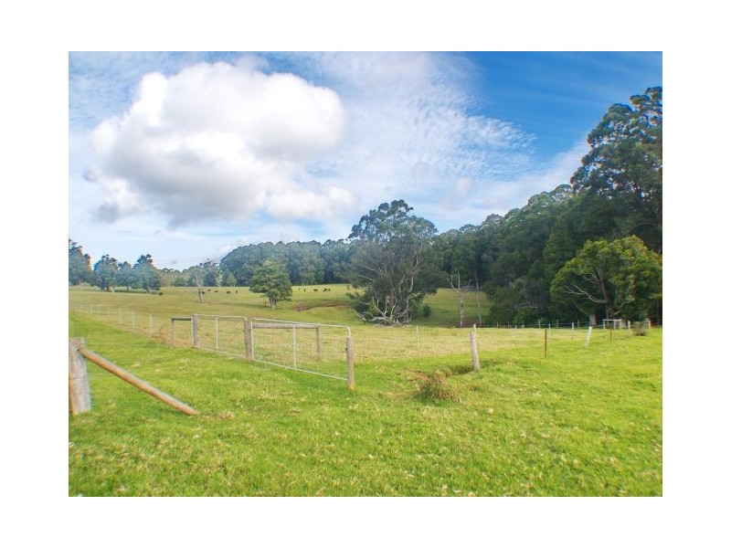 Jamberoo NSW 2533