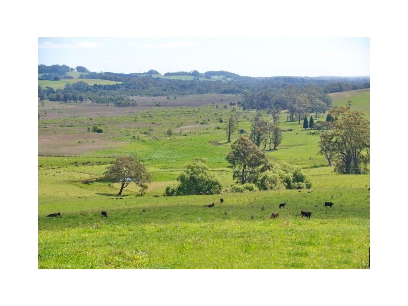 Kangaloon NSW 2576