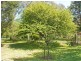 Berrima NSW 2577