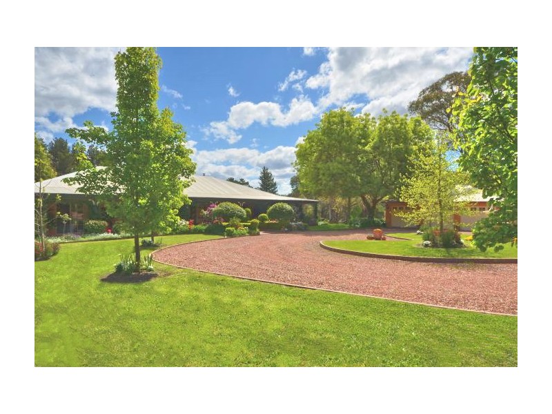 Paddys River NSW 2577