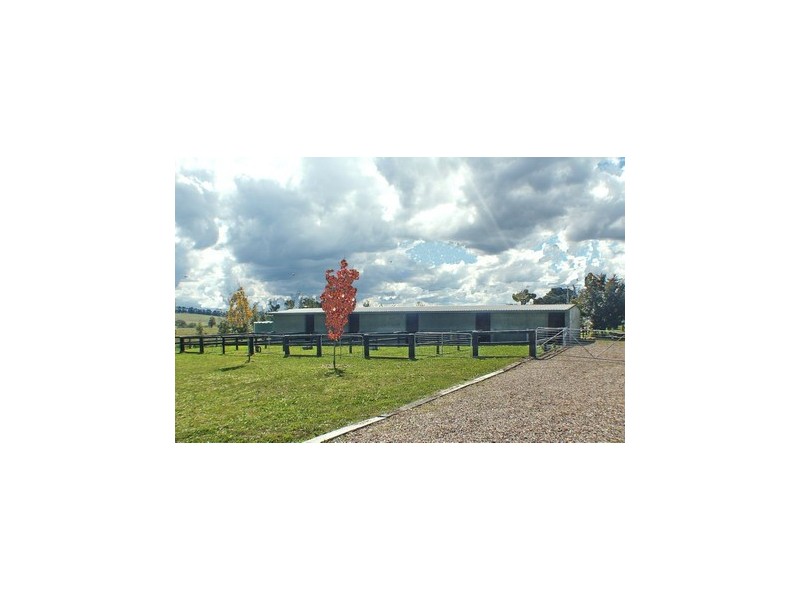 Paddys River NSW 2577