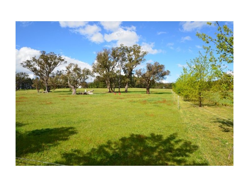 Paddys River NSW 2577