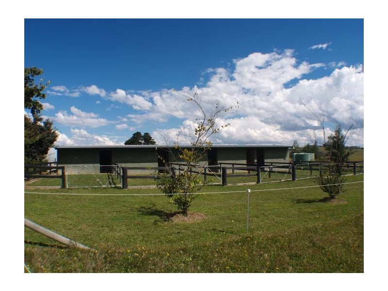 Paddys River NSW 2577