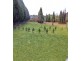 Bowral NSW 2576