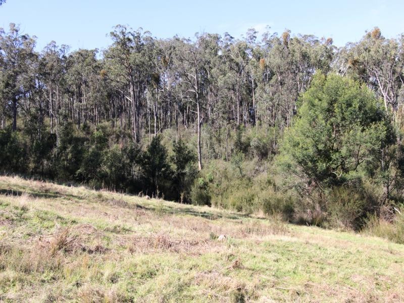 6 Marathon Road, Briagolong VIC 3860