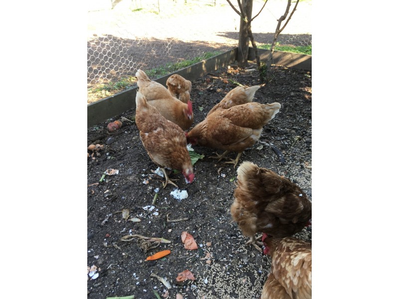 214 Powerscourt Street, Maffra VIC 3860