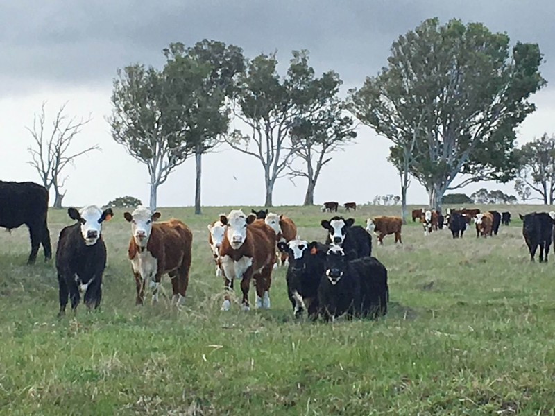 Perry Bridge VIC 3862