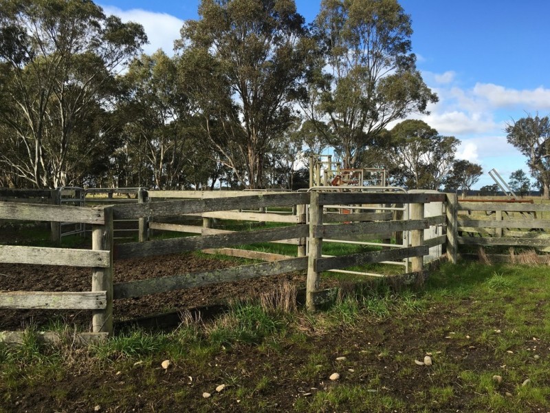 Perry Bridge VIC 3862