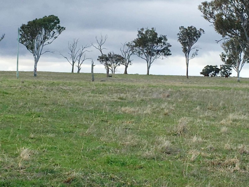 Perry Bridge VIC 3862