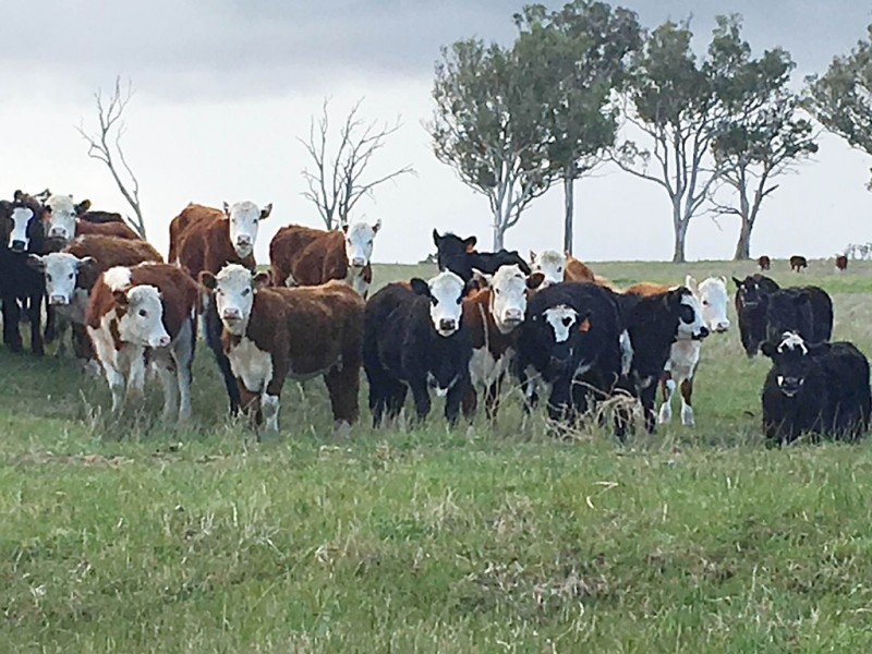 Perry Bridge VIC 3862