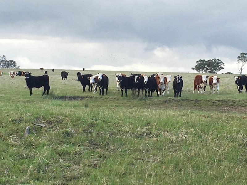 Perry Bridge VIC 3862