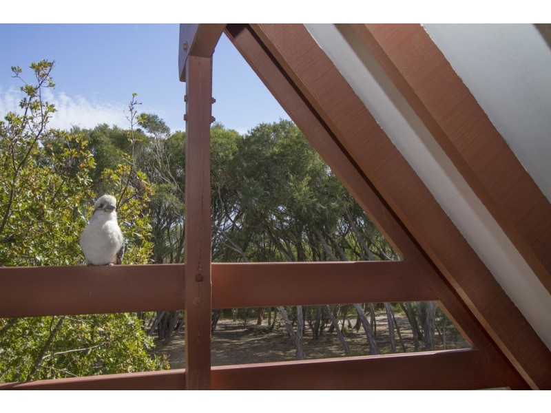 42 Seagull Drive, Loch Sport VIC 3851