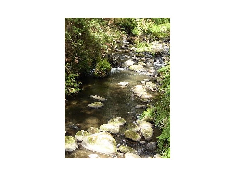 0 Tarra Valley Road, Tarra Valley VIC 3971