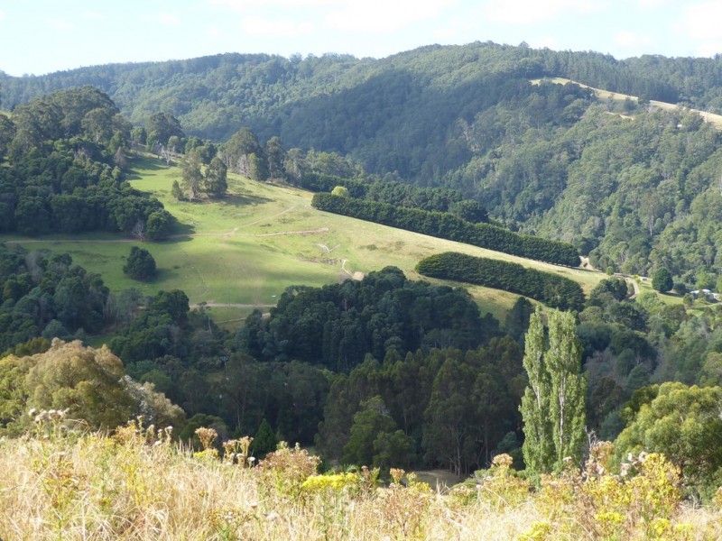 0 Tarra Valley Road, Tarra Valley VIC 3971