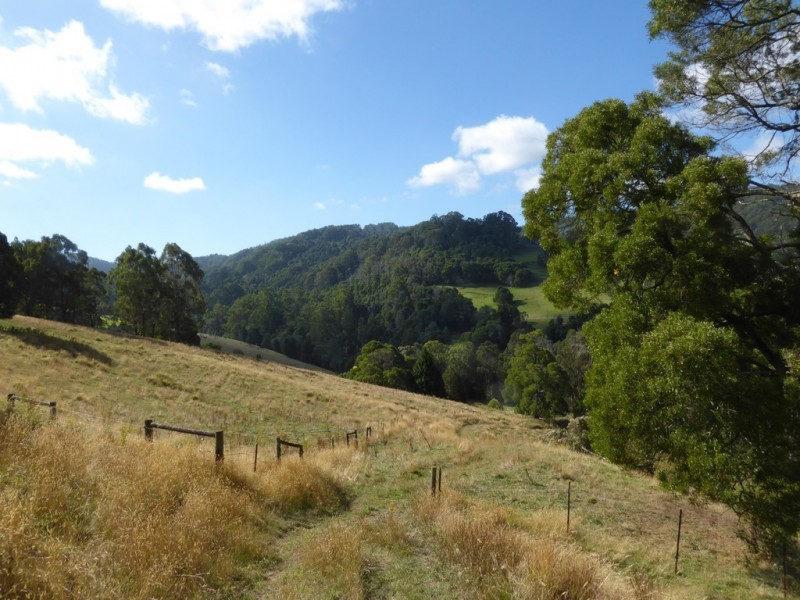 0 Tarra Valley Road, Tarra Valley VIC 3971