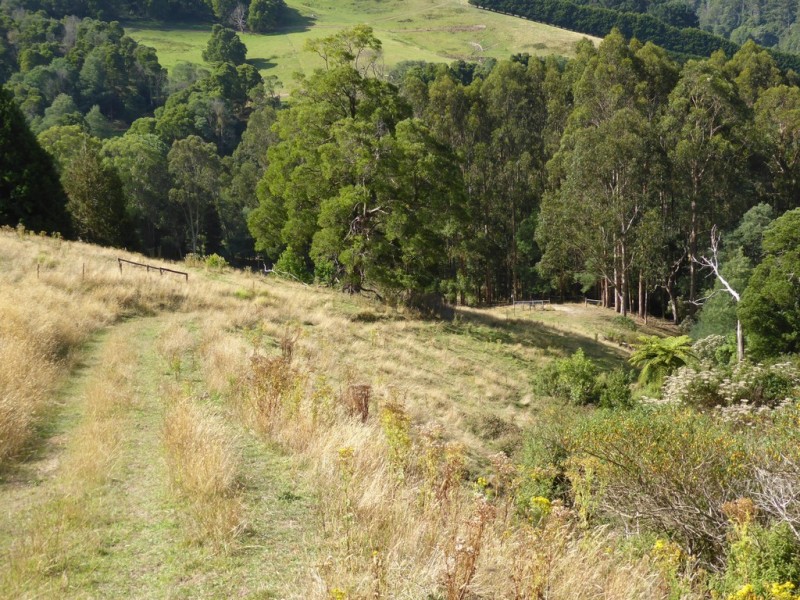 0 Tarra Valley Road, Tarra Valley VIC 3971