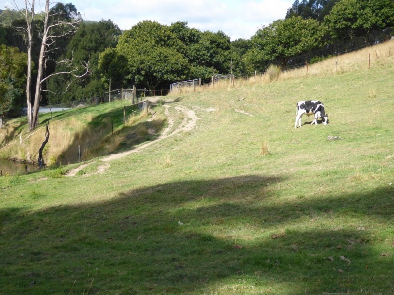 0 Tarra Valley Road, Tarra Valley VIC 3971