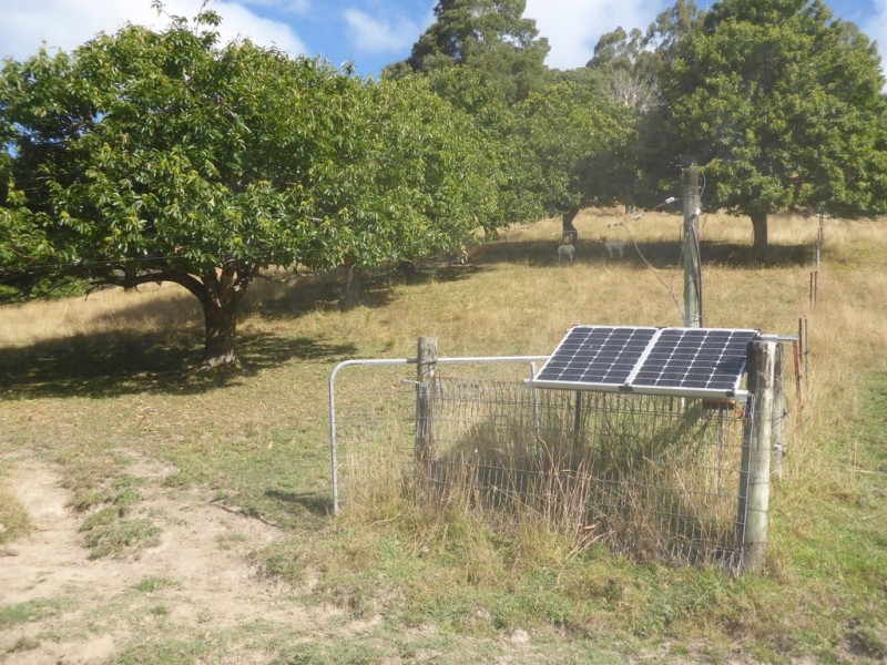 0 Tarra Valley Road, Tarra Valley VIC 3971