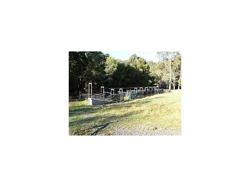 0 Tarra Valley Road, Tarra Valley VIC 3971