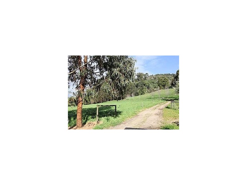 0 Tarra Valley Road, Tarra Valley VIC 3971