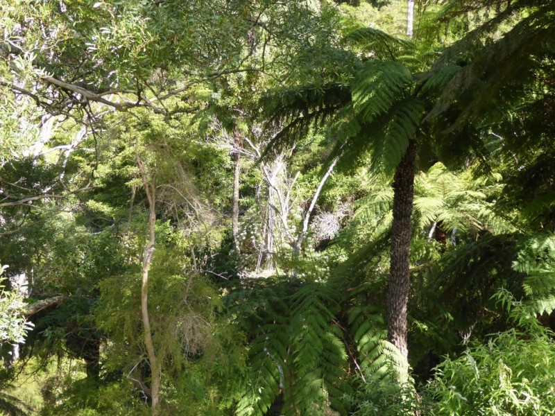 0 Tarra Valley Road, Tarra Valley VIC 3971