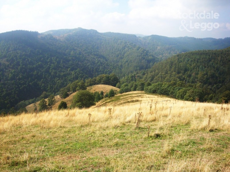 115 Morwell River Rd, Boolarra South VIC 3870