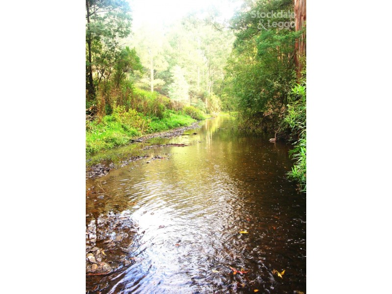 115 Morwell River Rd, Boolarra South VIC 3870