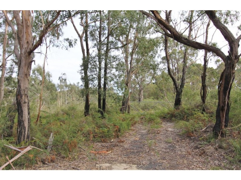 4445 South Gippsland Hwy, Stradbroke VIC 3851