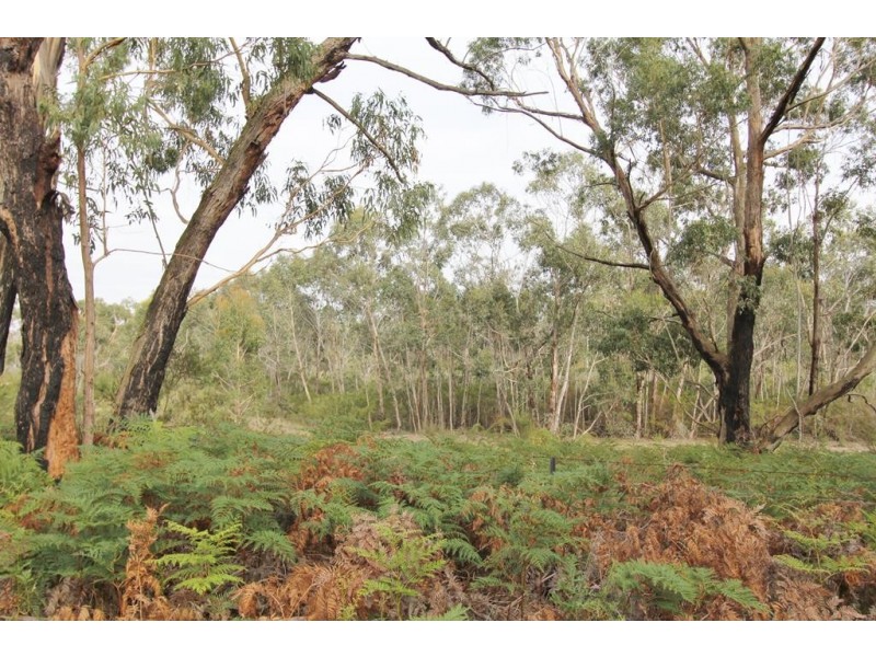 4445 South Gippsland Hwy, Stradbroke VIC 3851