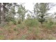 4445 South Gippsland Hwy, Stradbroke VIC 3851