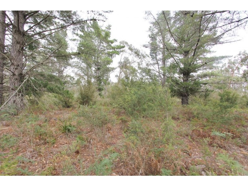 4445 South Gippsland Hwy, Stradbroke VIC 3851