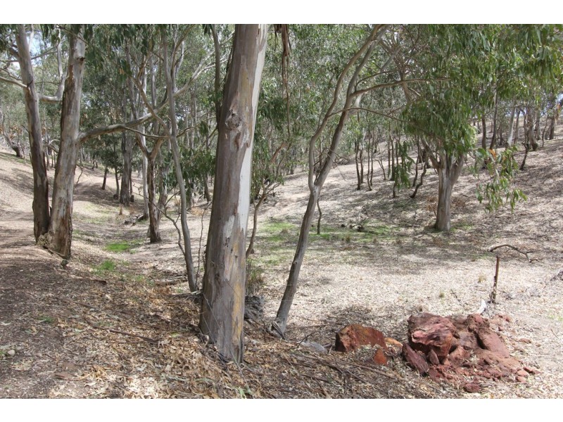 0 Balgonie lane, Stratford VIC 3862