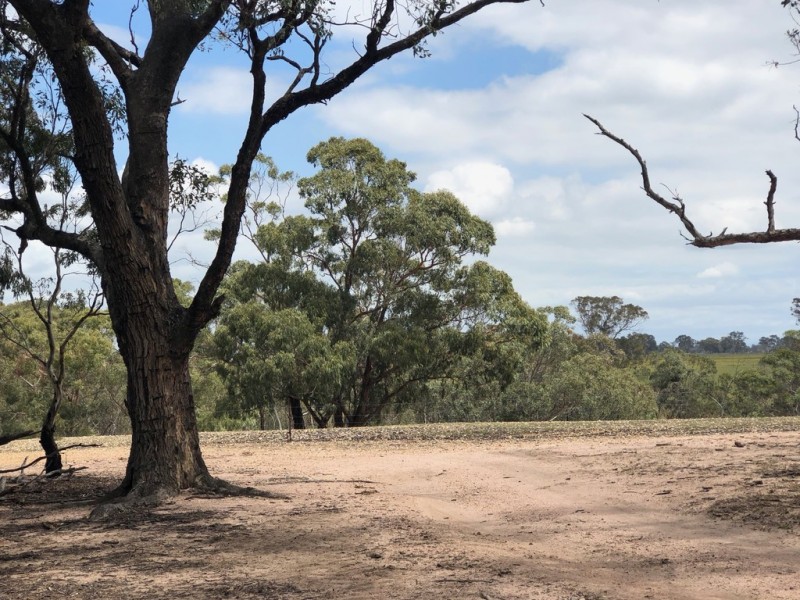0 Balgonie lane, Stratford VIC 3862