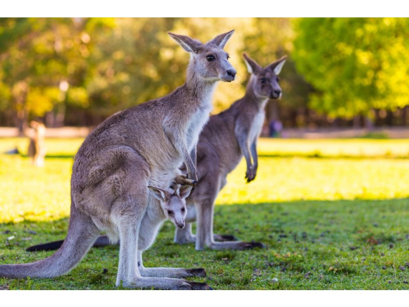 . Heyfield -Seaton Road, Seaton VIC 3858