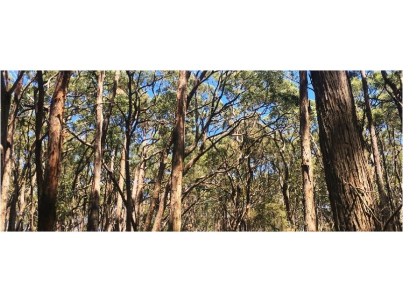 . Heyfield -Seaton Road, Seaton VIC 3858