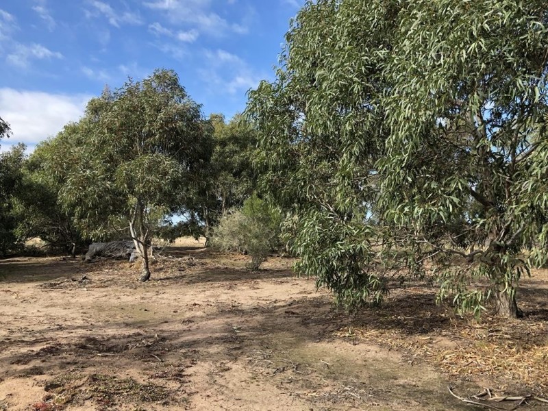 46 Frawley Road, The Heart VIC 3851