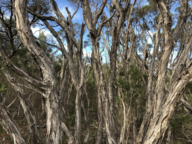 46 Frawley Road, The Heart VIC 3851