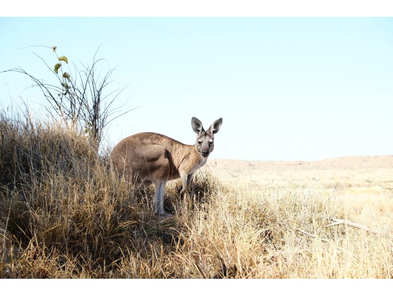 19-21 Starglow Way, Golden Beach VIC 3851