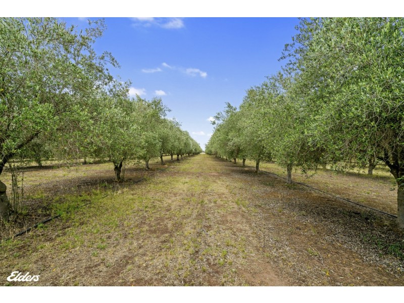 1366 Bengworden Rd, Clydebank VIC 3851