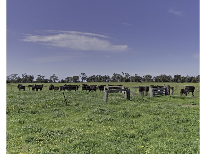 2611 Bengworden Road, Perry Bridge VIC 3862