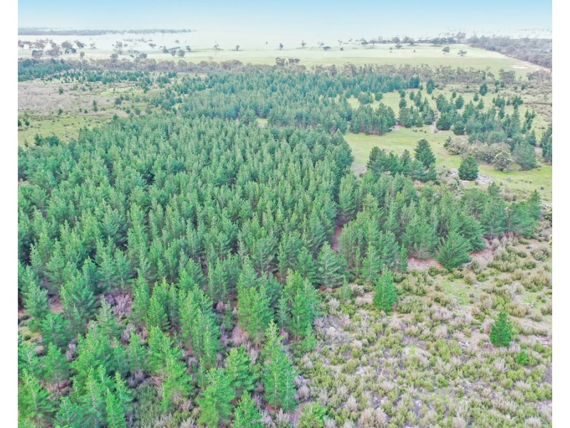 3 Carrs Creek Road, Longford VIC 3851