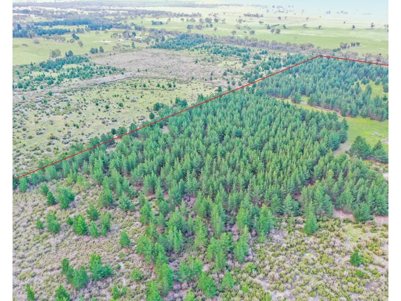 3 Carrs Creek Road, Longford VIC 3851