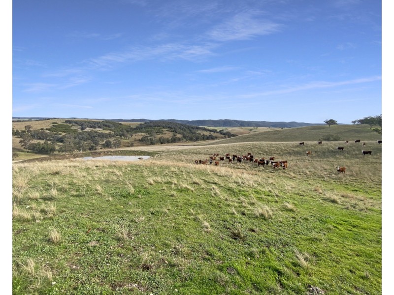 Lot 3 Licola Road, Glenmaggie VIC 3858