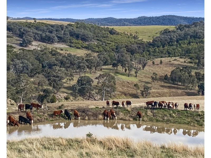 Lot 3 Licola Road, Glenmaggie VIC 3858