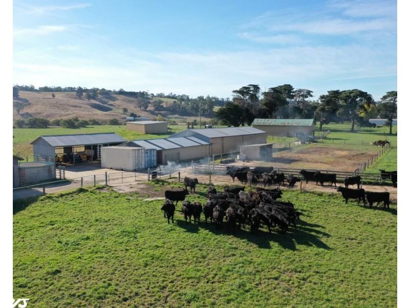 190 Nuttalls Road, Yinnar VIC 3869
