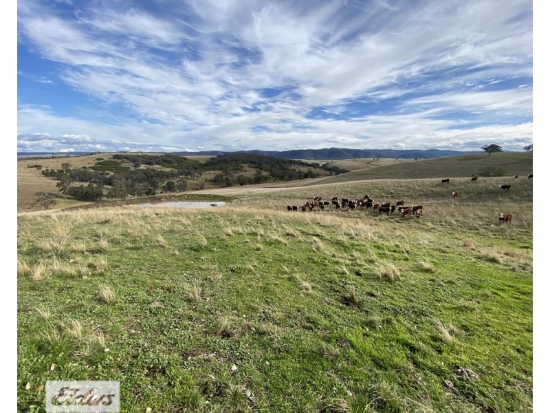 1483 Licola Road, Glenmaggie VIC 3858