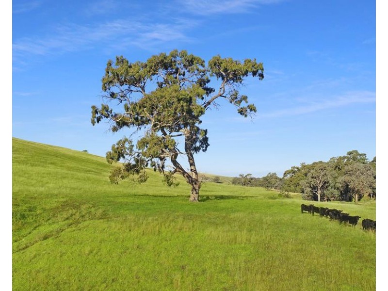 1483 Licola Road, Glenmaggie VIC 3858