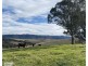 67 Chesterfield Road, Glenmaggie VIC 3858