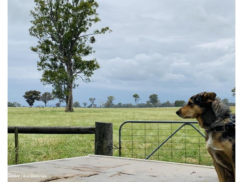 1150 Fernbank-Glenaladale Road, Fernbank VIC 3864